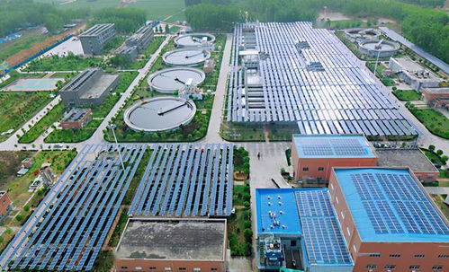 河南唯一入围国企改革 双百行动 的市级试点 这家企业是咋做到的