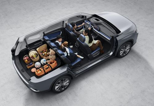 首付9900元开睿蓝9即刻出发