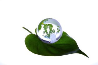 睿容环保 净睿产品如何成为环保事业发展的核心引擎