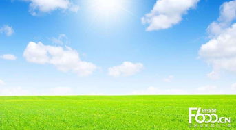 睿容空气净化器加盟指南 加盟费、官网、条件流程及政策支持解析